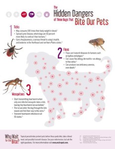 info on bug bites
