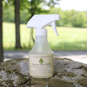 Equine Pain Relief