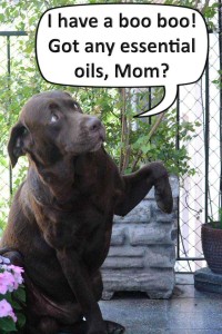 "I have a boo boo! Got any essential oils, Mom?"